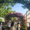 CU묵동행복점 | 2025 중랑 서울장미축제 개화 기본정보 가는길 주차