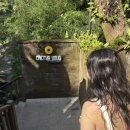 콩볶는야옹이 | Bali - DAY 3 in Ubud