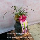 김해축산업협동조합 배합사료공장 이미지