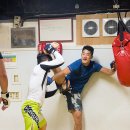 팀 매드 이미지