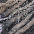 노내골농장 이미지