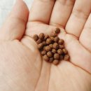 경희하나로한방병원 이미지