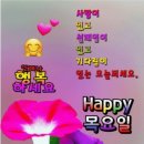 3월 17일(목) 어제의 일상 및 두딸 생일관련 이야기 이미지