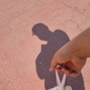 서림동주민센터 | 쿠팡이츠 도보배달 후기!! (추천여부/수익)