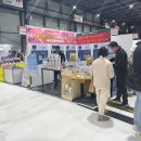 춘향캣 | 궁디팡팡캣페스타 크리스마스