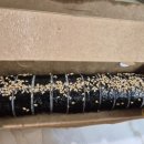 라면이랑김밥이랑 | 🌊 태종대김밥 포장해서 집에서 라면이랑 먹은 후기🍜🍙