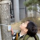 달빛가득 리우 나무 찾기🌳 이미지