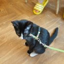 여수 INN 이미지