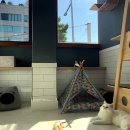 잔다냥 강동점 이미지