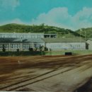 임동중학교 이미지