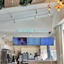 강촌공원 화장실 | [춘천 여행] 김유정 레일바이크 내돈내산 후기, 핑크 뮬리 명소/가족여행 추천/가격 정보