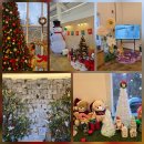 꿈벌사슴목장 | 태백 겨울 가볼만한곳 힐링스폿 사슴 만나는 초록뿔언덕카페 꿈벌사슴목장