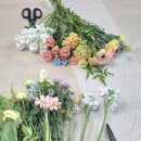 [청주 진천 증평 원예치료수업] 중학교 두드림 꽃바구니만들기 정서지원 체험활동_샤론의정원