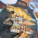 자갈치식당 | 영월 생선구이 돌솥밥 맛집 자갈치 현지인 식당 내돈내산후기