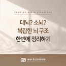 성모신경정신과의원 이미지