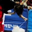 럭키켄넬 이미지