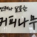 언제나달콤한커피나무