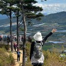 (주)교원스타트원 투어코리아