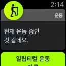 토닭토닭 - 가평군 가화로 586 | 토닭토닭