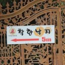 촌낙지