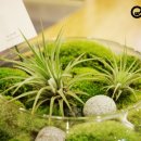 경희장수한의원 이미지