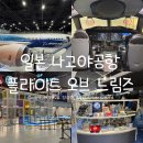 일본 나고야 아이랑 갈만한곳 추천 공항 플라이트 오브 드림즈 후기
