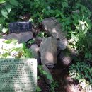 무성목욕탕 이미지