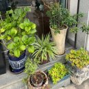 하이퍼마트 | 강원도 원주 커피 디저트 맛집 진안 하이퍼마트 내돈내산 후기 :: 로컬그로서란트 능선