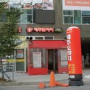 돌리고제주도야지 이미지