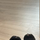 한국한센복지협회울산경남지부마산부설의원 | 병원 퇴사 후 처음 맞이한 백수의 하루｜놀아본 적 없는 사람의 현실 일상 vlog♥