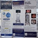 동물병원 산책 | [본동물메디컬센터24시수성점] 대구24시동물병원 심장초음파 검사 후기