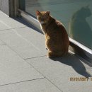 서구-01-31 이미지