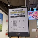 쿨펫이마트 목동점 동물병원 이미지