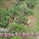 김영복농장 네이버블로그