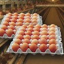 덕연농장 이미지