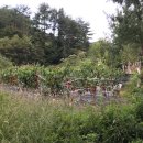 두일보건진료소 이미지