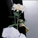 오윤례 Daum카페