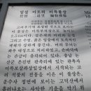 이도리 이미지