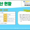 신월동113 이미지