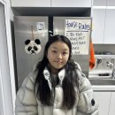 개와털컴퍼니
