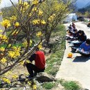 지리산나들락마을 이미지