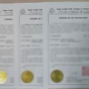 광화문 행정사 사무소 이미지