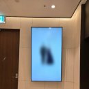 봉영로 | W1. 수원 마레보 호텔 웨딩홀 본식 계약 후기 (+26년 하반기 견적 공유)