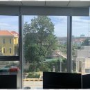 국제 행정사사무소 이미지