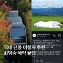 고롱고롱 | 추천ㅣ평창 휘닉스 파크 리조트 경동 나비엔 고롱고롱 숙면대회 후기, 가을 단풍 명소 화담숲 예약 꿀팁