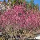 당몰샘 | [전남 구례 가볼만한 곳] 쌍산재 윤스테이 촬영지 :: 300년 한옥에서 즐기는 고즈넉한 힐링 여행