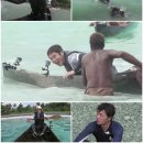 오지다 티브이데일리