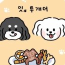 투개더 이미지