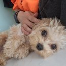 놀러오개(도화점) 이미지