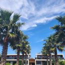 덕수리-4 이미지